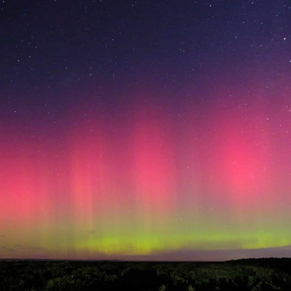 A vivid display of the aurora australis (Southern Lights) glowing in green and purple waves across a clear night sky, gently illuminating a quiet, open field below.